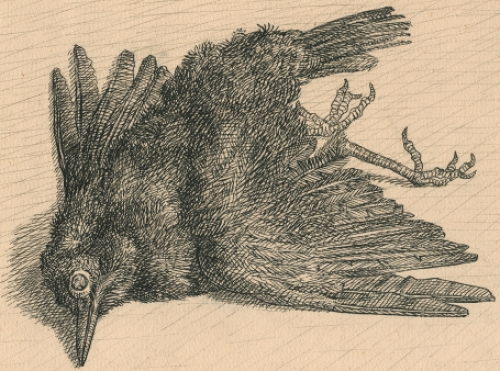 Paul Van Dessel met een tekening uit 1989