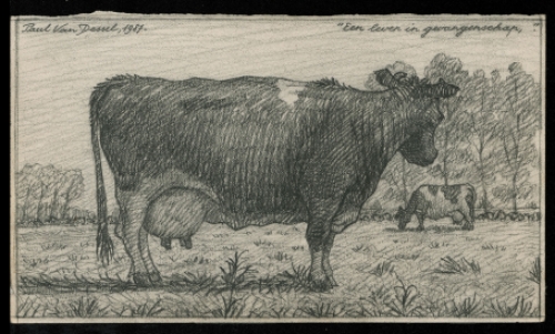 kunstwerkje van de Belgische kunstenaar Paul Van Dessel