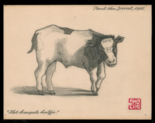 de Belgische kunstenaar Paul Van Dessel