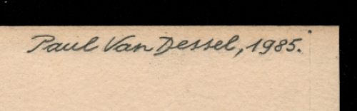 Het kalfje van Paul Van Dessel