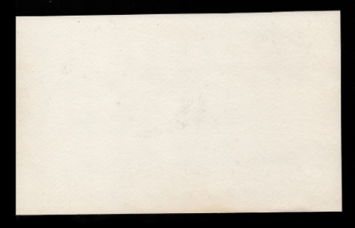 Intimiteit binnen de kudde 1985