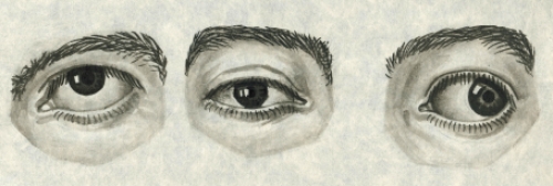 over het oog reikt van Paul Van Dessel