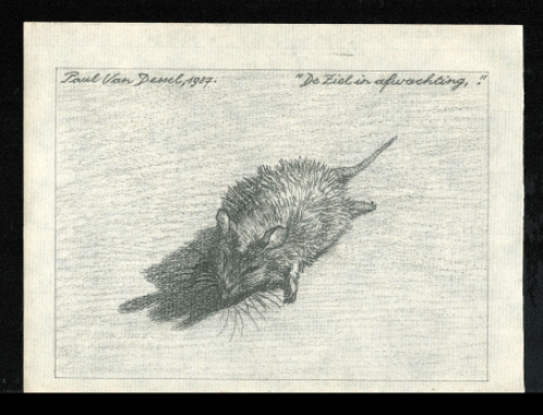 kunstwerkje van de Belgische kunstenaar Paul Van Dessel