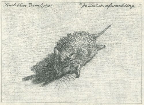 Tekening van de Belgische kunstenaar Paul Van Dessel kopen