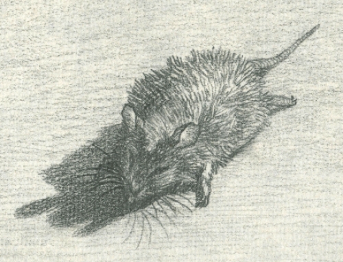 Paul Van Dessel met een tekening 1987