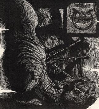 Grafisch kunstwerk van de Belgische graficus Peter Bosteels