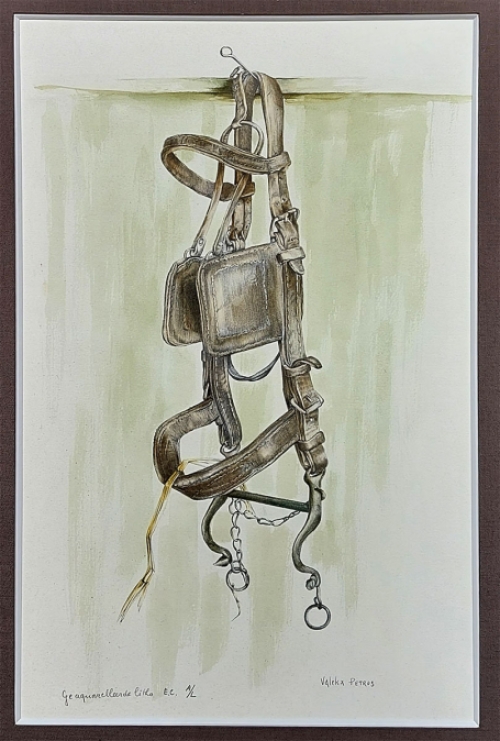 Geaquarelleerde litho  van Petrus Valckx