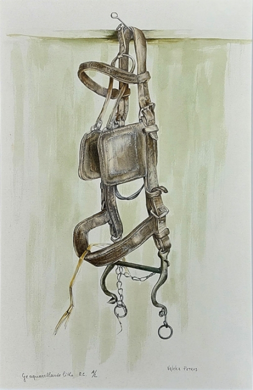 Litho door de Belgische kunstenaar Petrus Valckx