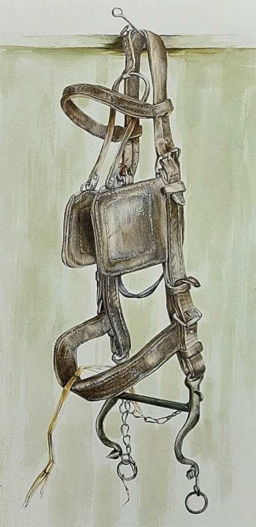 Hyperrealisme door Petrus Valckx