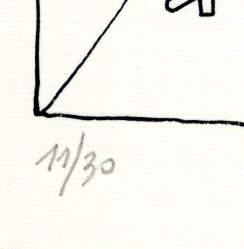 Triangl Ontwerp I 11/30