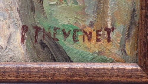 De Belgische kunstenaar Pierre Thévenet