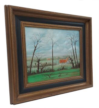 Fris landschapje met twee boerderijen