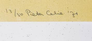 De Blauwe man 1971  13/50