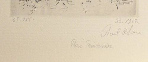 Pluie Printanière 65/165