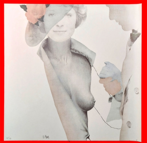 Litho van de Belgische kunstenaar Pol Mara kopen