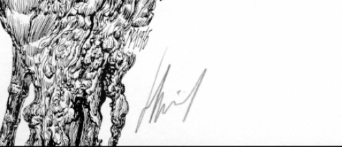 Belgische kunstenaar Pol (Paul) Mariën