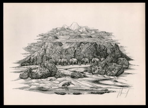 Litho kopen van Pol Mariën