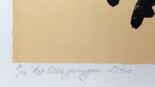 Het licht gevangen 1993 3/16