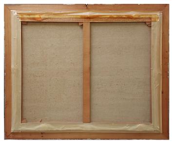 Landschap, aan de plassen