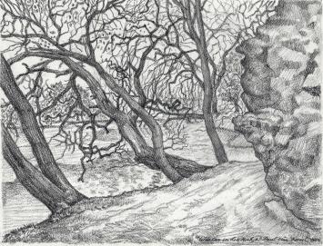 Potloodtekening van de Belgische kunstenaar Paul Van Dessel uit Antwerpen