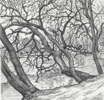 Paul Van Dessel met een tekening uit 1986