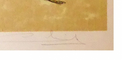 Kunstenaar Remy Cornelissen met een originele litho