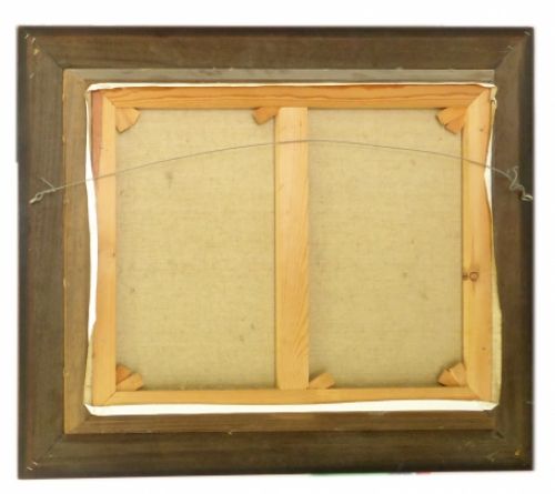 Rivier met stalen brug (Mira- Brug)