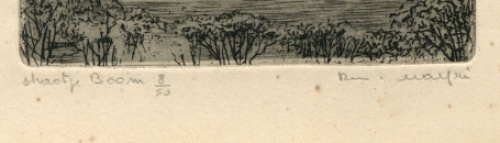 Belgische kunstenaar en etser Romain Malfliet