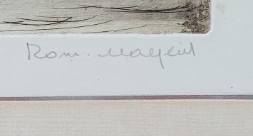 Wilgen - Donkmeer - Overmeire 31/50