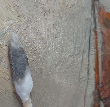 Zeilschepen op de Noordzee