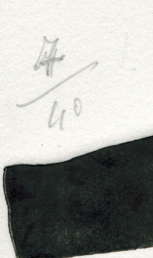 Geplette gedaanten 1992 Schaduw 7 van 40