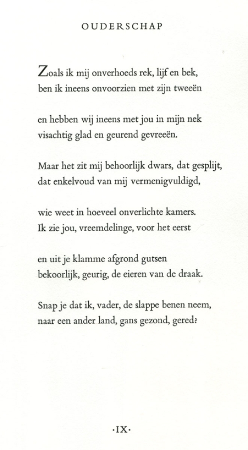 Geplette gedaanten 1992 Ouderschap 7 van 40