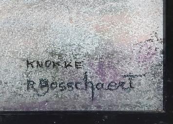 Renaat Bosschaert met Nieuwe Hazegraspolder