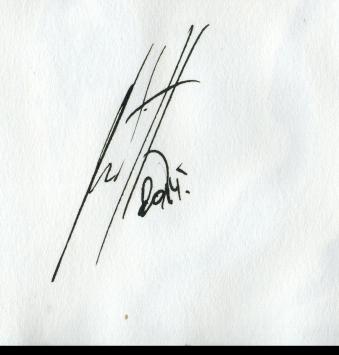 Schilderijen kopen van Antoine Juliens