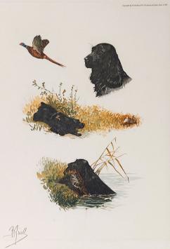 Grafisch kunstwerk van Boris Riab