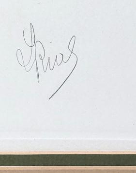 Hondenras Griffon Korthals