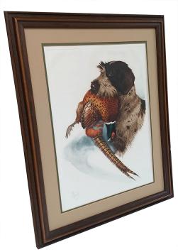 Griffon Korthals met gevangen fazant