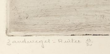 Zandwegel - Ruiter 13/50