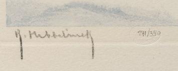 Winter aan de vijver Saverys 171/350