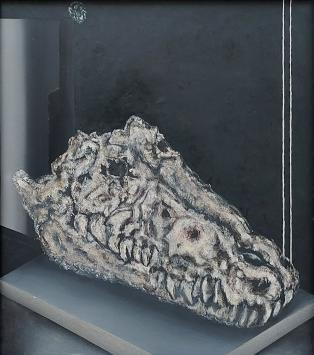 Roger Nellens met een zicht van een krokodillen schedel