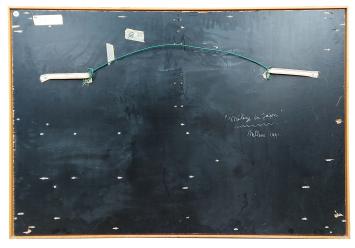 Mélèze du Japon 1991