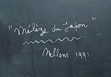 Mélèze du Japon 1991