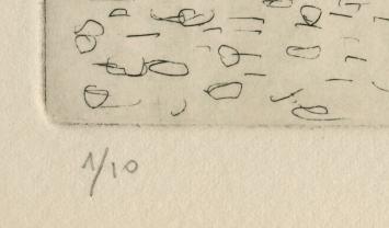 De Antwerpse kunstenaar Roger Van De Wouwer