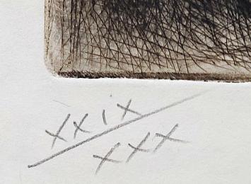 Het jongentje aan het raam XXIX/XXX