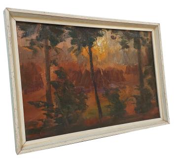 Doorbrekende zon aan de bosrand