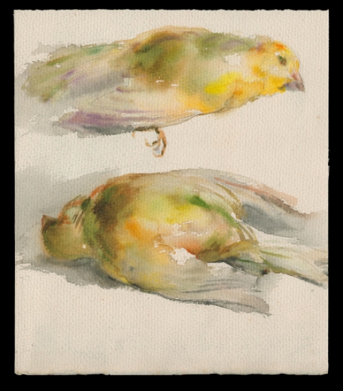 Aquarel van de Belgische kunstenaar Romain Malfliet