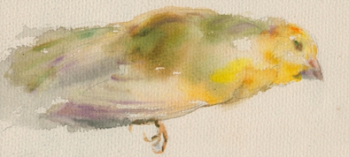 Aquarel van Malfliet kopen