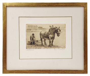 Ets met paard van Romain Malfliet kopen