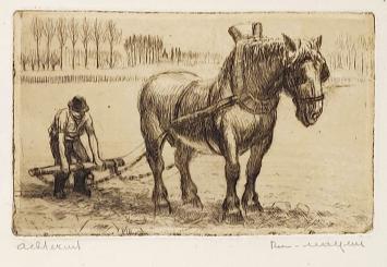 Benoemde ets van Malfliet kopen