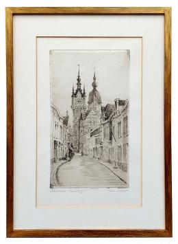 Ets van Temse van Romain Malfliet kopen